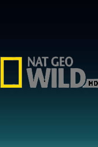 Nat Geo Wild