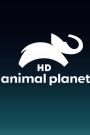 Animal Planet HD Telugu